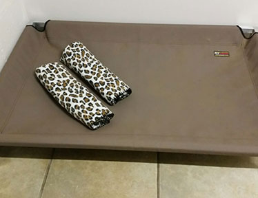 Bloemfontein Kennels